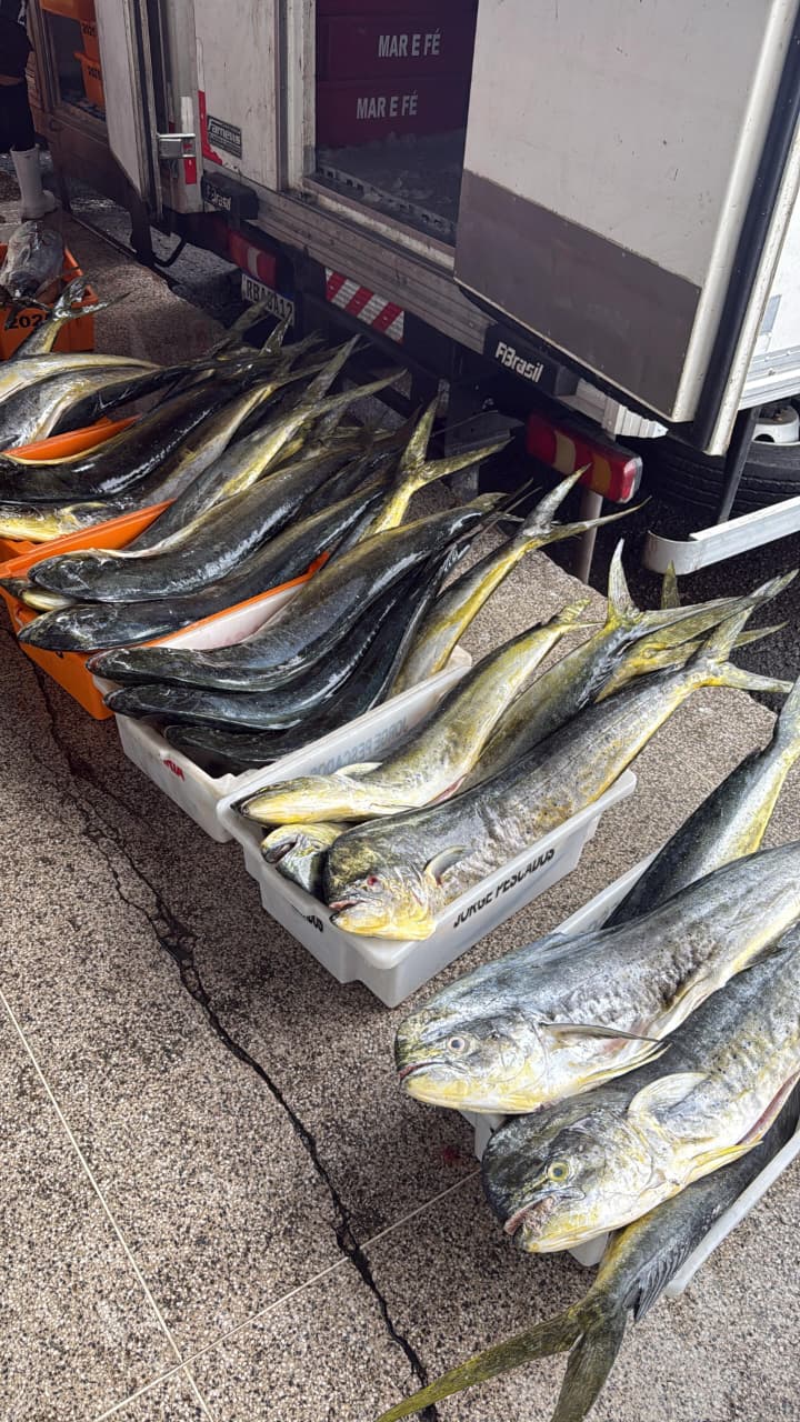 Pescado desembarcado